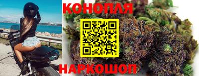наркотики Гусев
