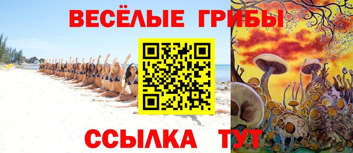 Псилоцибиновые грибы прущие грибы Можайск
